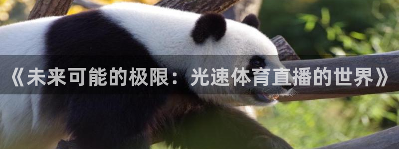 《未来可能的极限：光速体育直播的世界》